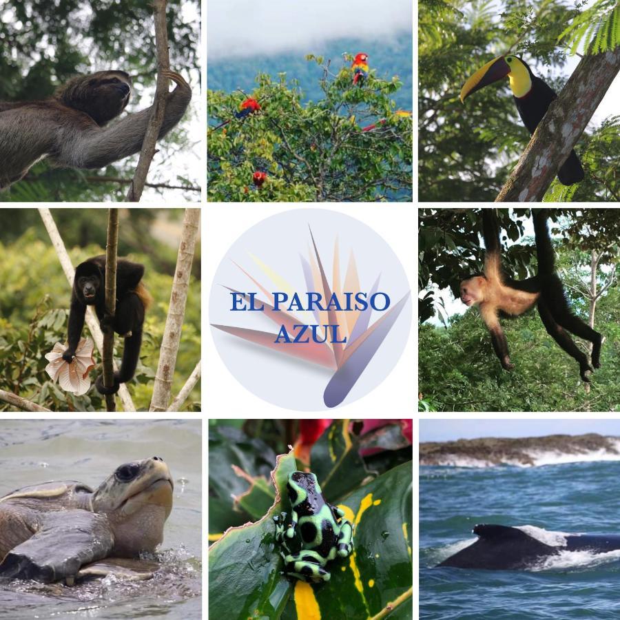 El Paraiso Azul أوخوتشال المظهر الخارجي الصورة